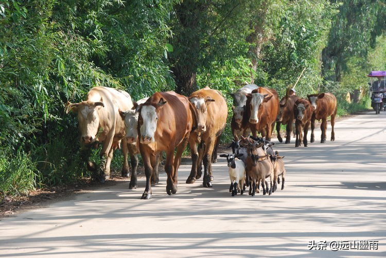 昆明嘉丽泽旅游景区,昆明嘉丽泽湿地露营