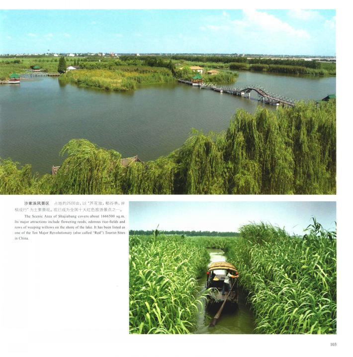 沙家浜真实地点,真正的沙家浜在哪里