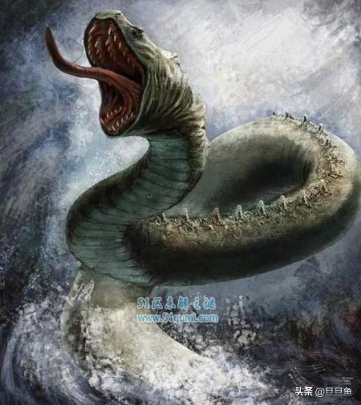 海洋巨蟒之谜纪录片,海洋巨蟒电影完整版