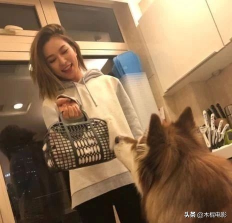 王思聪前女友雪梨,王思聪的前女友们怎么样了