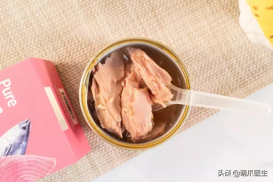 怎样让猫咪喝水才正确,猫咪进厕所喝水