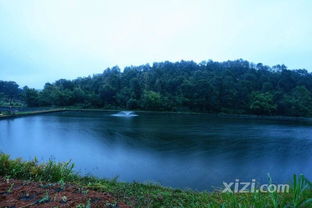 养鱼调水教学视频,小鱼塘养鱼怎样调水