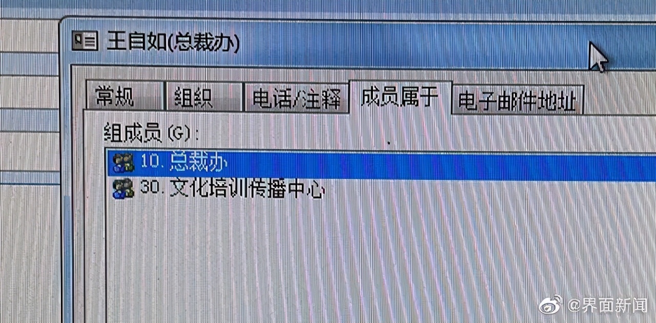 孟羽童、王自如为格力带去了什么,王自如什么时候当的格力副总裁