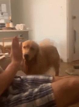 第一次人机大战电影,第一次人机战争