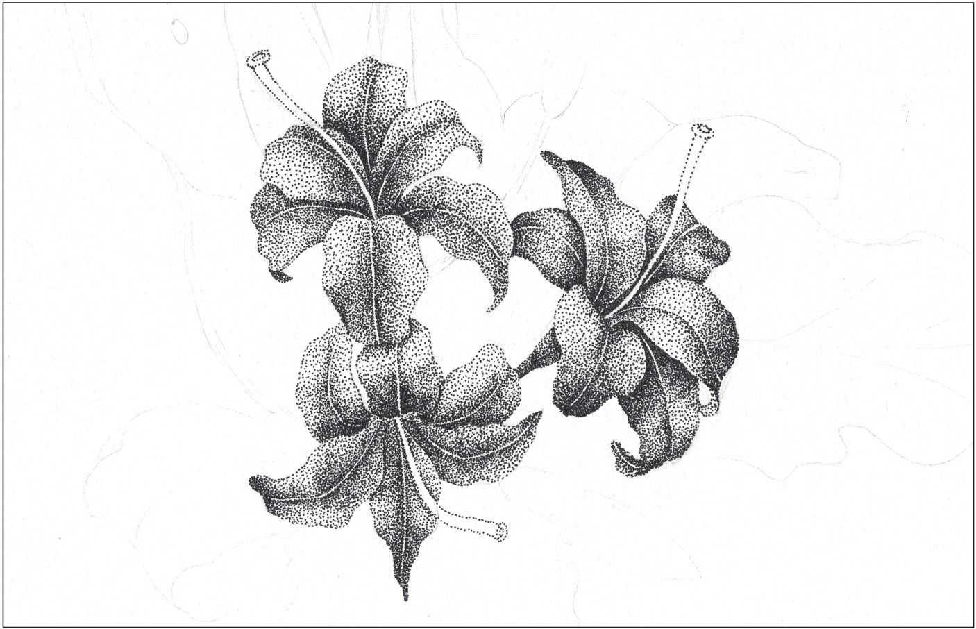 插画绘画教程纸绘,怎么画简单好看的插画教程