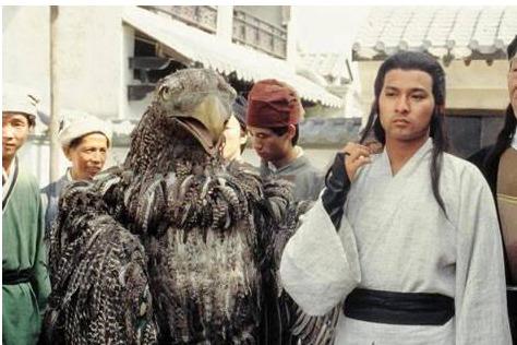 各版神雕侠侣中的大雕,神雕里面的雕结局