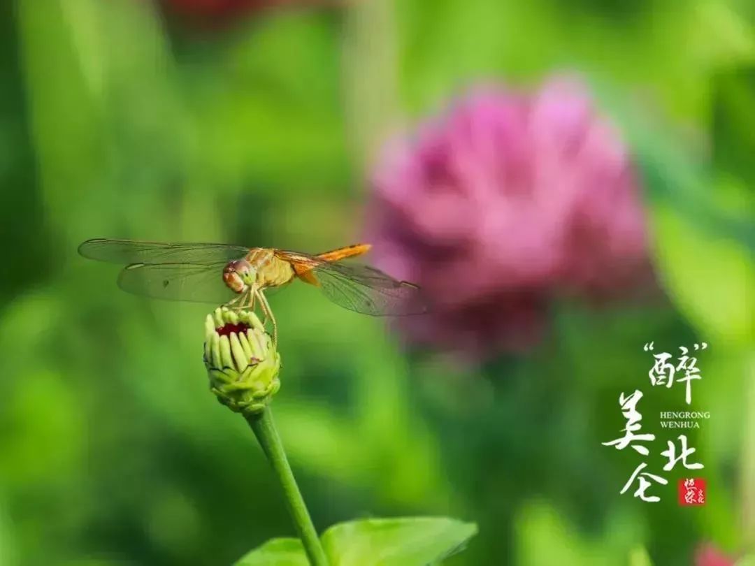 北仑旅游攻略大全集,北仑旅游攻略