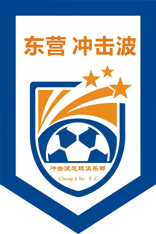 山东足球俱乐部队徽,山东省队徽章