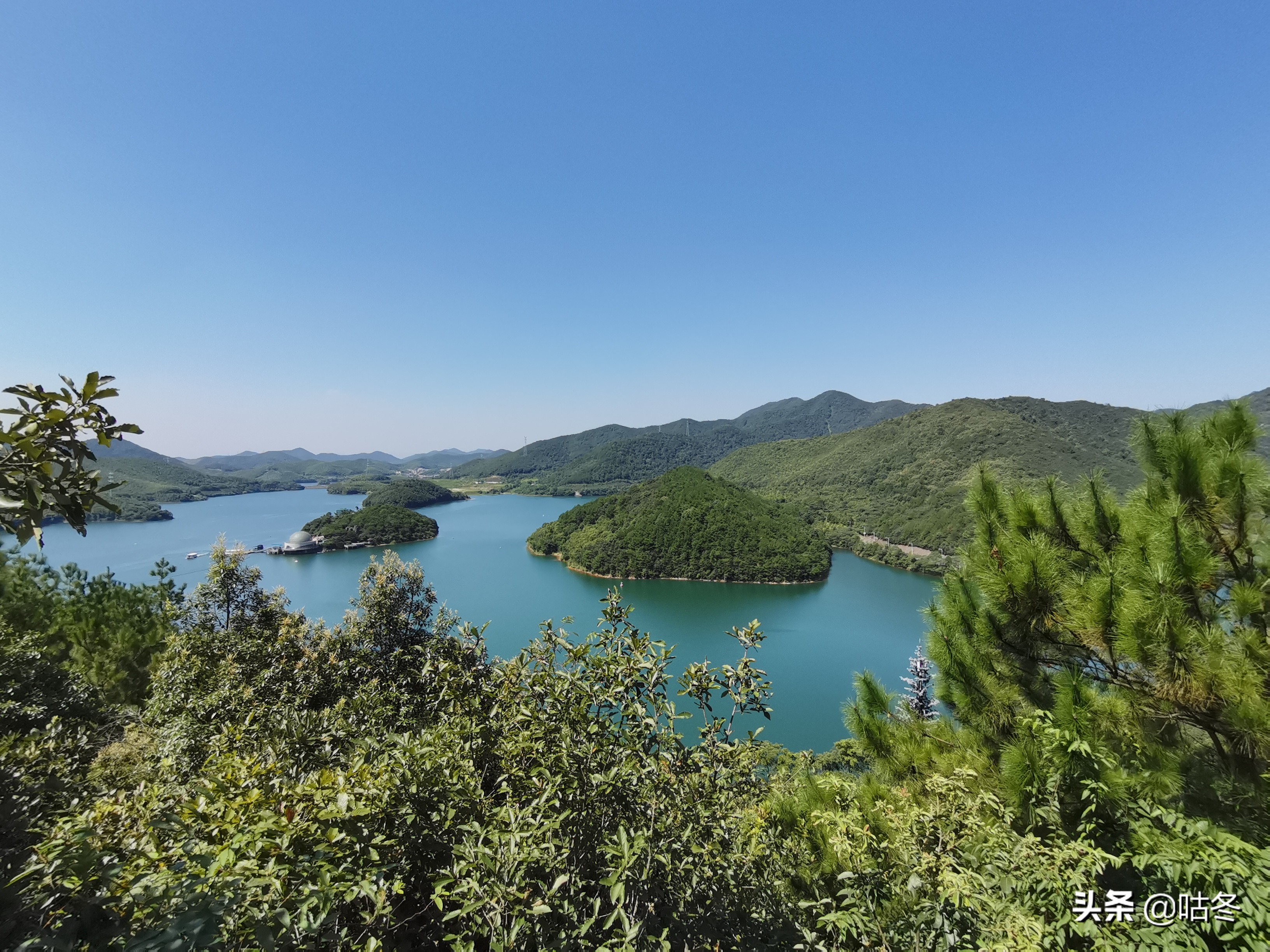 九龙湖风景区猴岛票价多少一张,宁波九龙湖旅游度假区猴岛官方