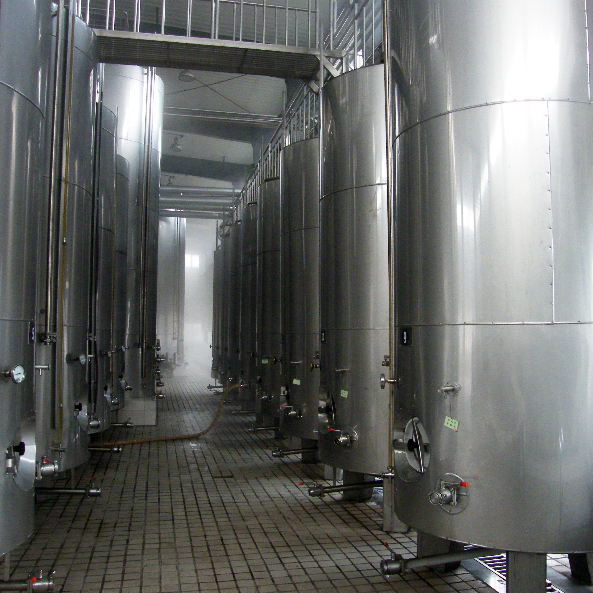 在北方投资500亩冰葡萄，投入数百万，还要建酒庄，可以吗？