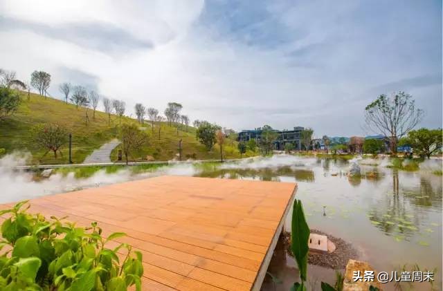 深圳中心公园足球场,深圳中心公园大草坪