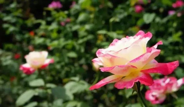 每天学习一点点女性小常识,每天学习一点点科普一下