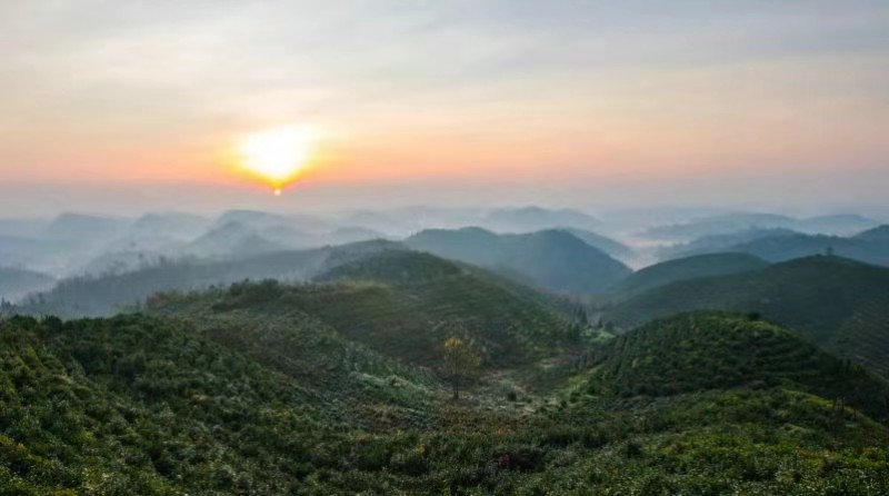 浔江源茶坊,安顺市茶馆
