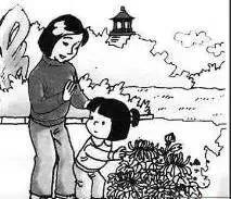 看图写话范文模板大全,看图写话万能模板范文