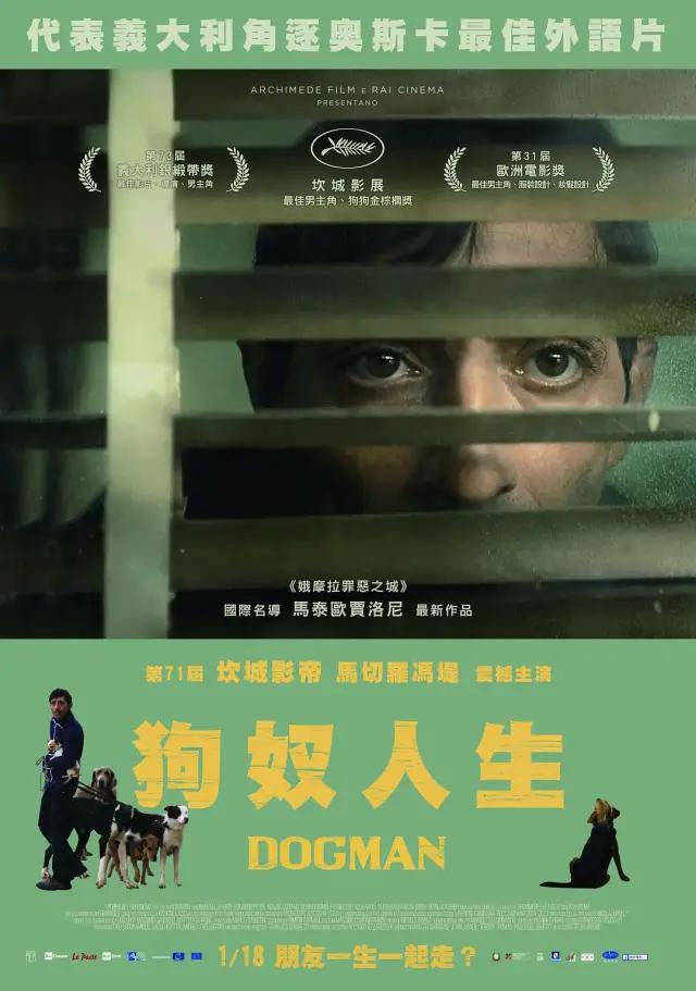 每日经典电影免费观看,经典电影每日电影大推荐