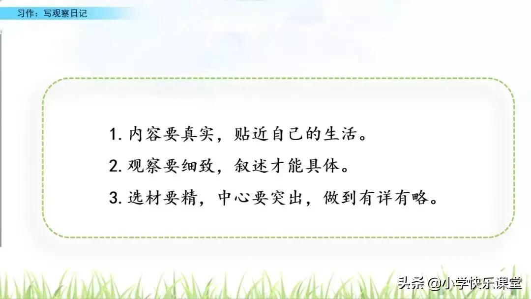 四年级语文第三单元观察日记作文,四年级观察日记400字优秀作文植物
