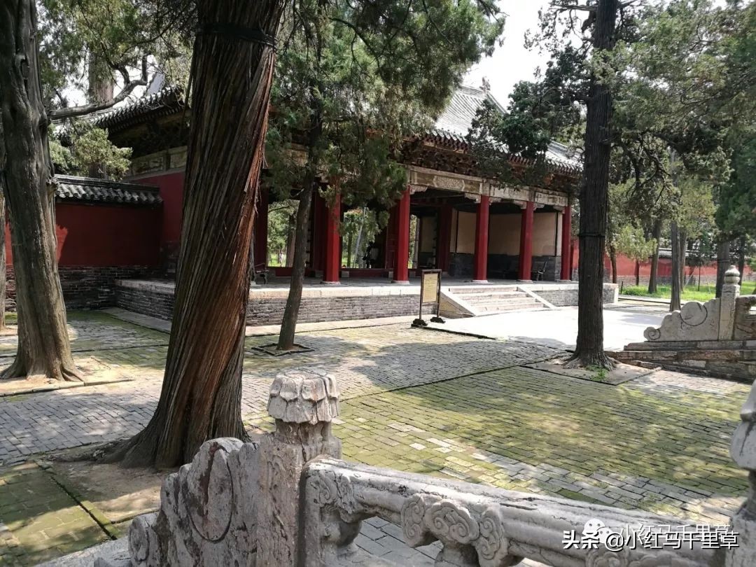 曲阜孔府孔庙孔林历史背景,曲阜孔府孔庙孔林一游