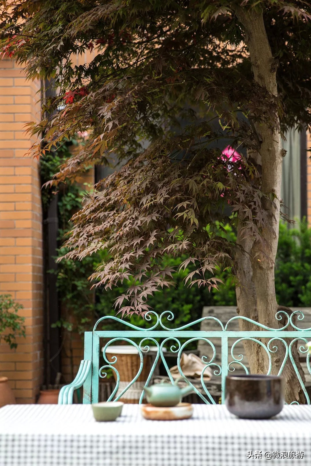 白鹭湾的“选美大赛”，谁是你心中最美的“姑娘”