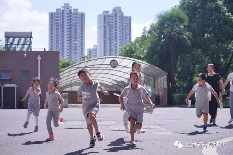 上海实验高中高考,上海实验学校2023高考战绩