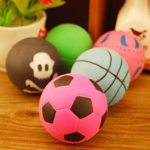 新到家猫咪需要做什么体检,猫咪到家第一夜铲屎官怎么做