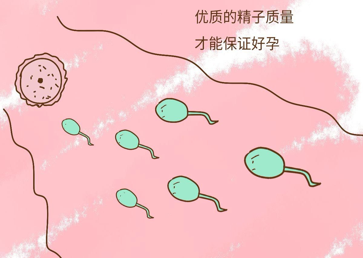 为了生一个女儿,女性可是煞费苦心,然而迷信偏方却是做无用功