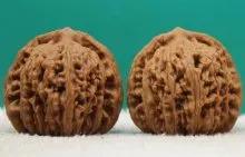 文玩品鉴视频,广善文玩精品文玩核桃