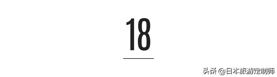 日本最美小景点,日本超美的花海美景