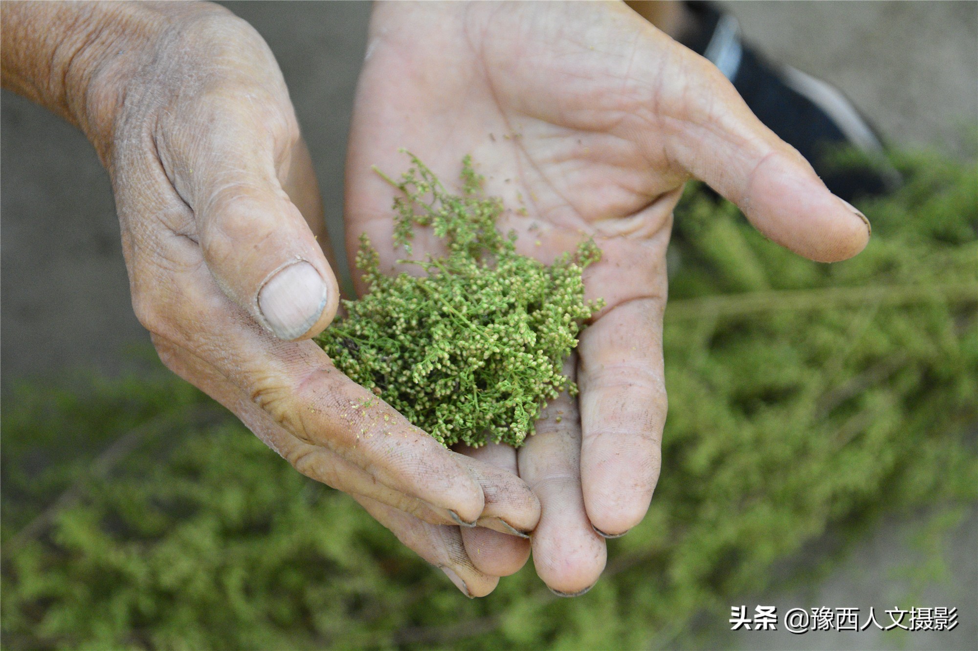 大锅变废为宝,变废为宝老人