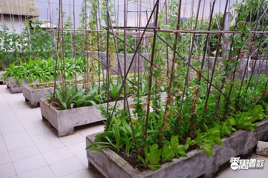 在番禺，住在康乐园的人最幸福！