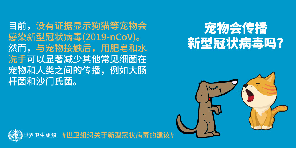 狗狗咬人怎么办,狗狗咬人怎么处理最好