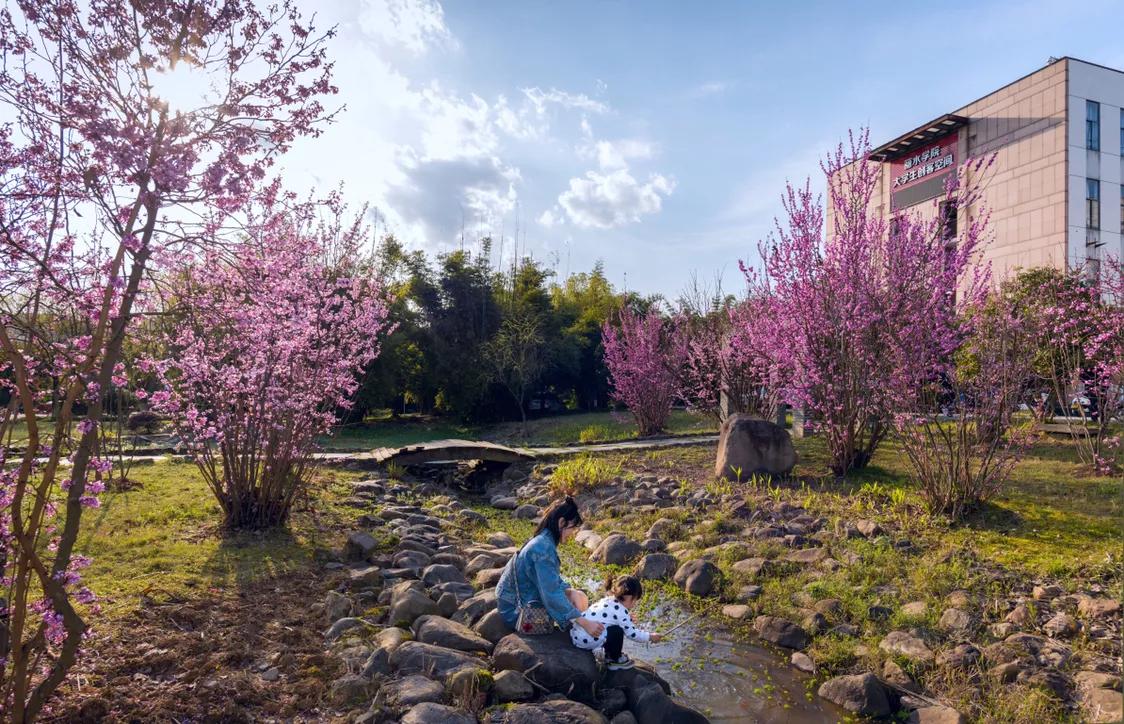 春日丽院，与你一起沐浴阳光
