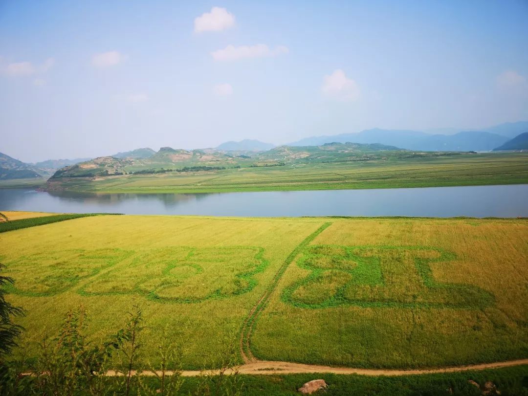 丹东最大的中朝边贸城,丹东中朝边境风光