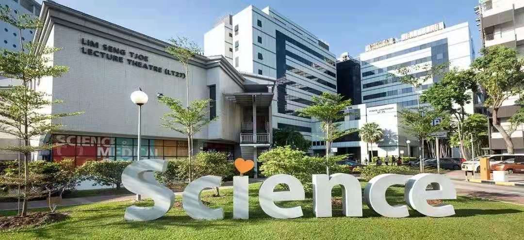 在新加坡国立大学就读一年“惊喜”和“后悔”一样多