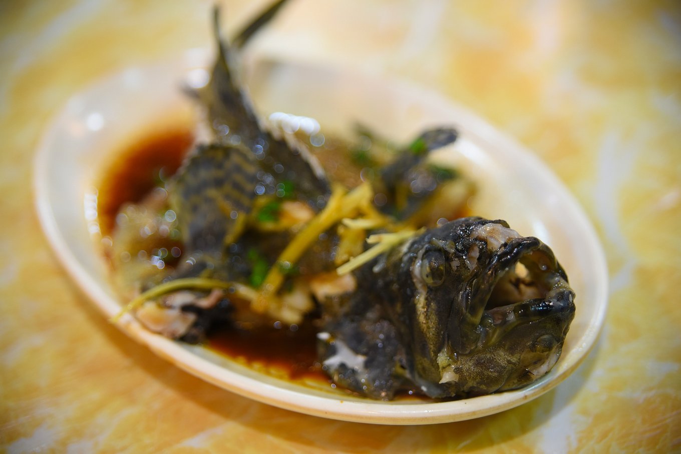 三亚海鲜宰客,去三亚免税店必吃海鲜