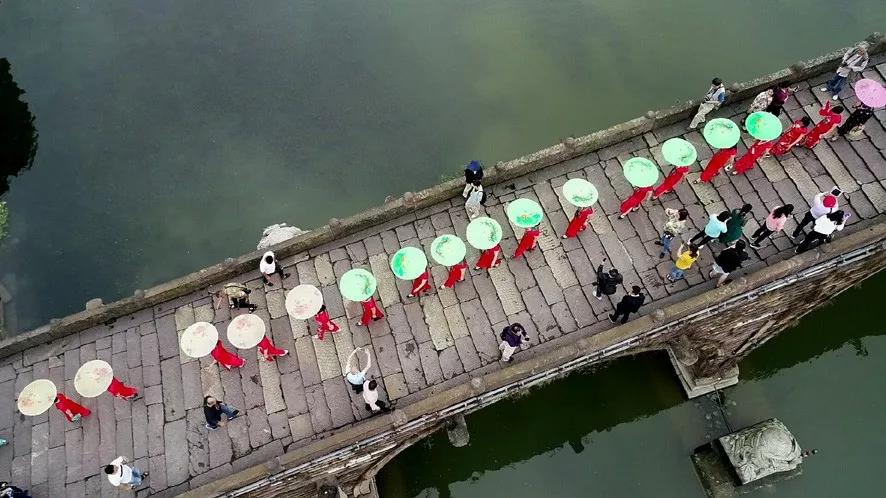 小编姐姐今天嗨翻了简直！接下来的半个月，你就交给塘栖和枇杷吧！