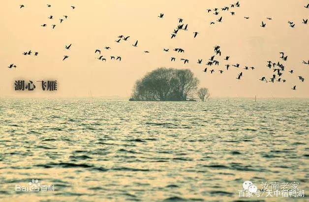 宿鸭湖事忆（一）（二）