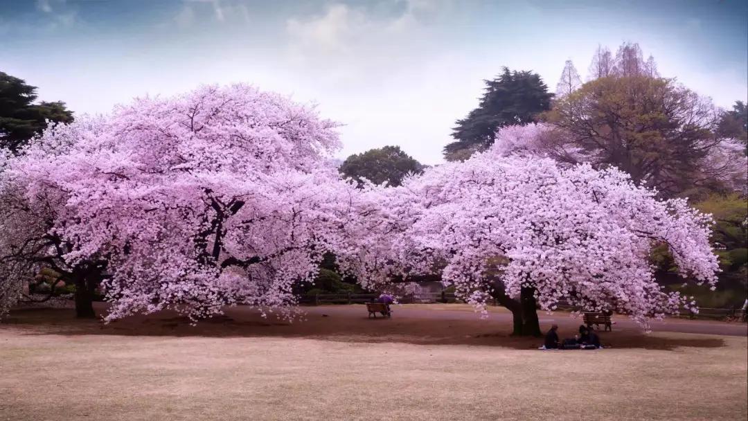 带有收藏的成语,成语归纳给孩子收藏吧