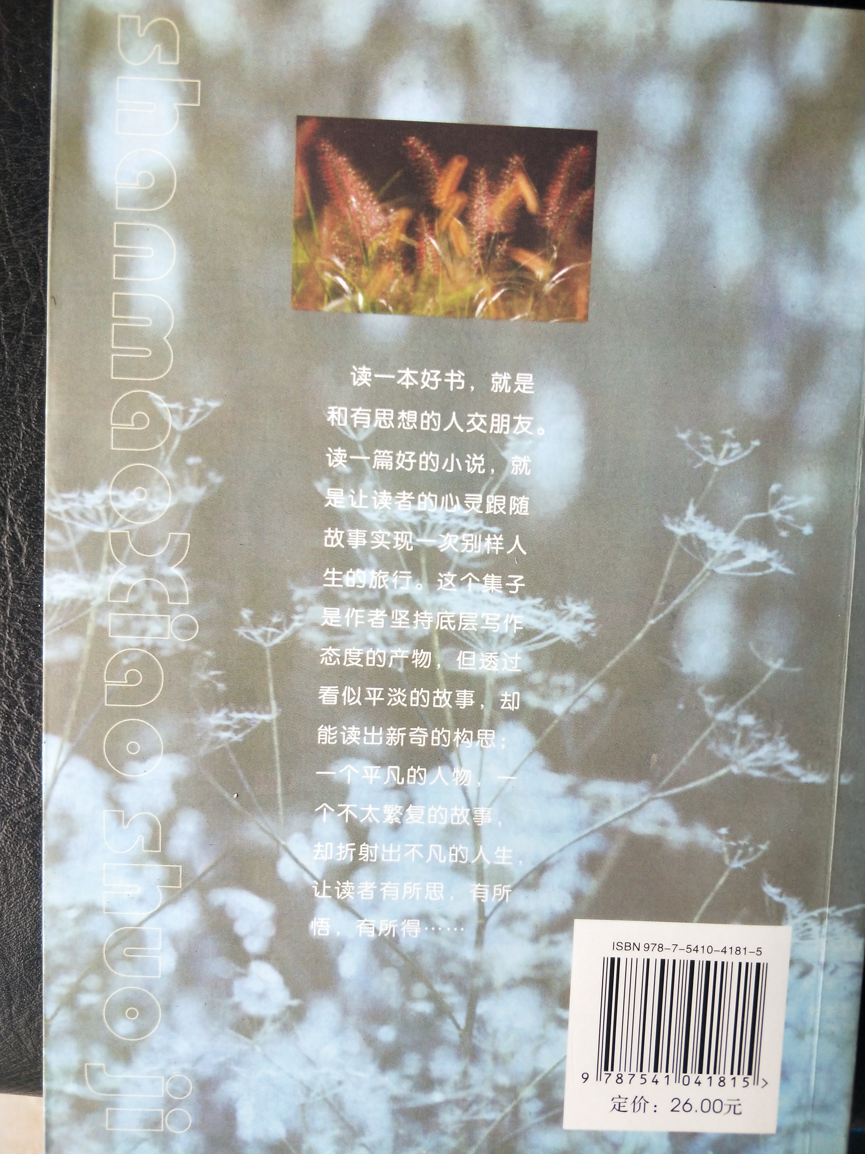 绽放在心灵的花朵 ——李兴建小说集《山猫》赏析