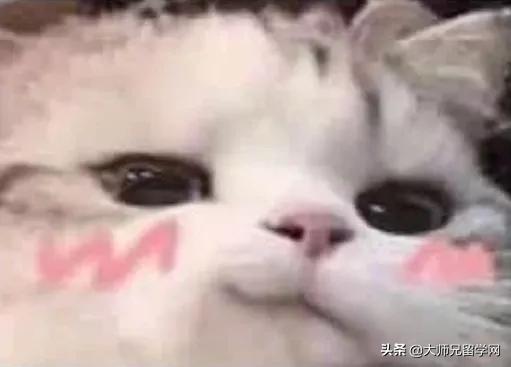 求求你不要再说了原音频,新加坡留学你不知道的事