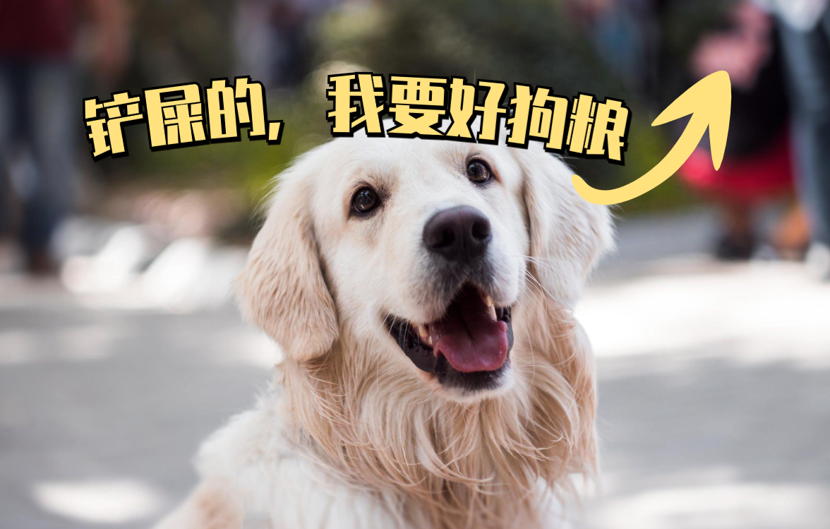 这6种狗是公认的无攻击性放心养,这6种狗很危险