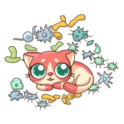 母猫要生宝宝会做什么举动,母猫要生了要不要给他接生工具