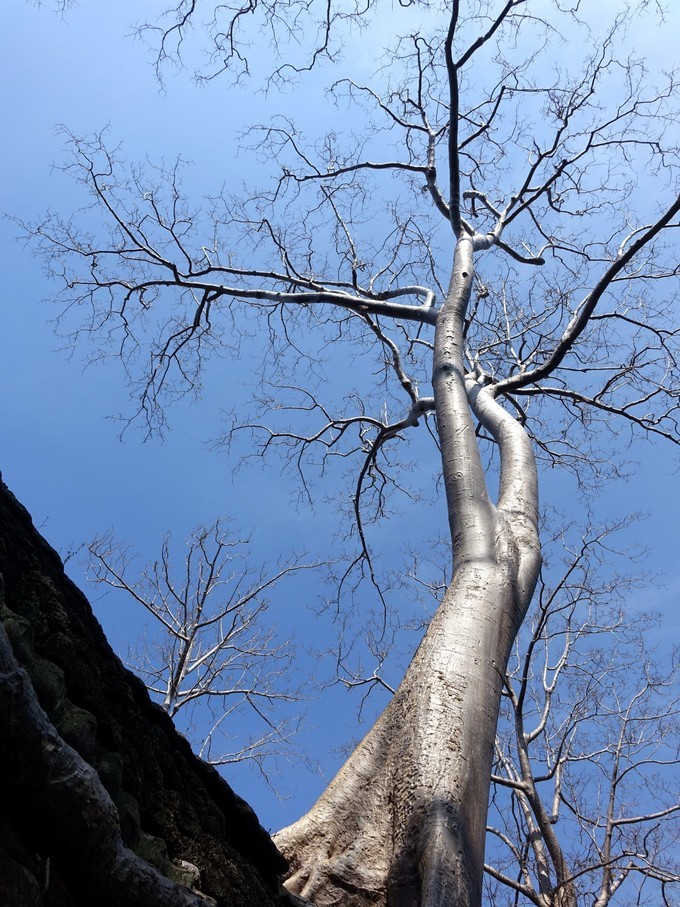 柬埔寨暹粒市旅游攻略,旅游柬埔寨必读完整攻略指南