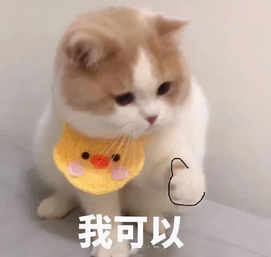 美国宠食真相网站2021认可猫狗粮榜单出炉，6款大陆有售