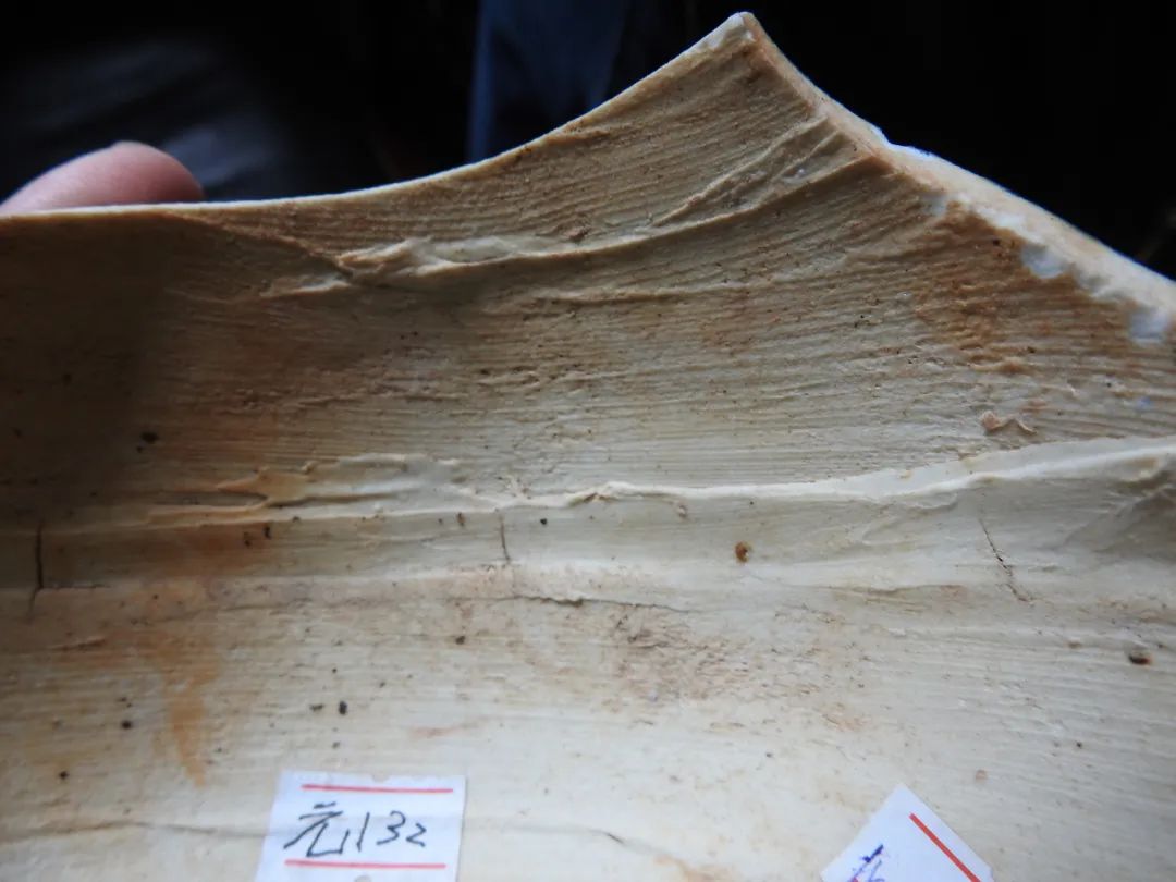 鍏冮潚鑺卞寽鐪熷搧鐗瑰緛,姘戠獞鍏冮潚鑺辩鐗瑰緛