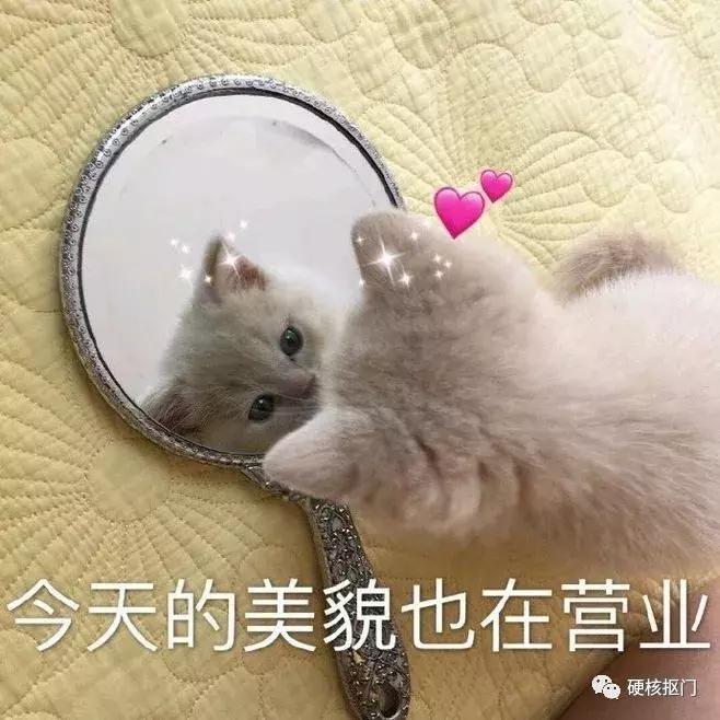 分享一张铁皮化妆品,化妆品铁皮分享