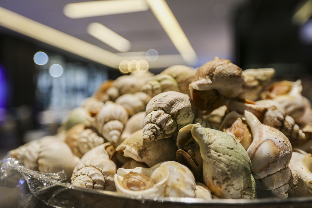 任性的重庆渝融豪生:坐落三轨之上,便捷扫街购物,允许携带宠物