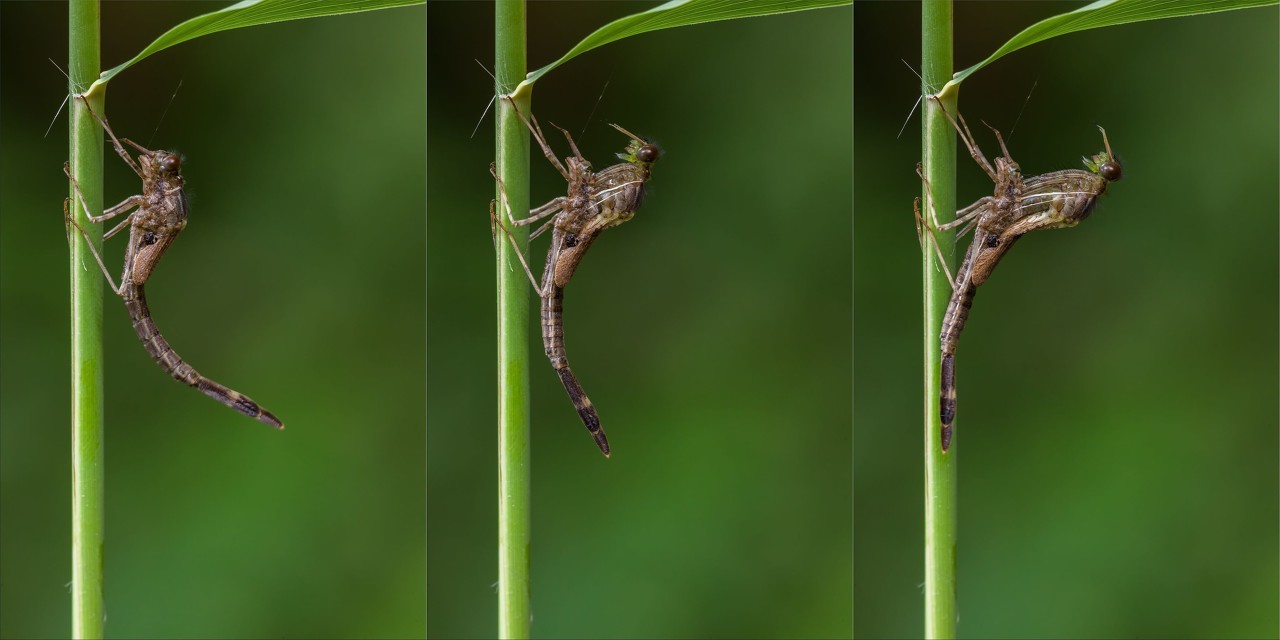 形容词比较级和最高级变化规则,英语形容词变比较级不规则变化