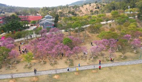 江门附近好玩的景区有哪些,江门再添4家国家3a级旅游景区