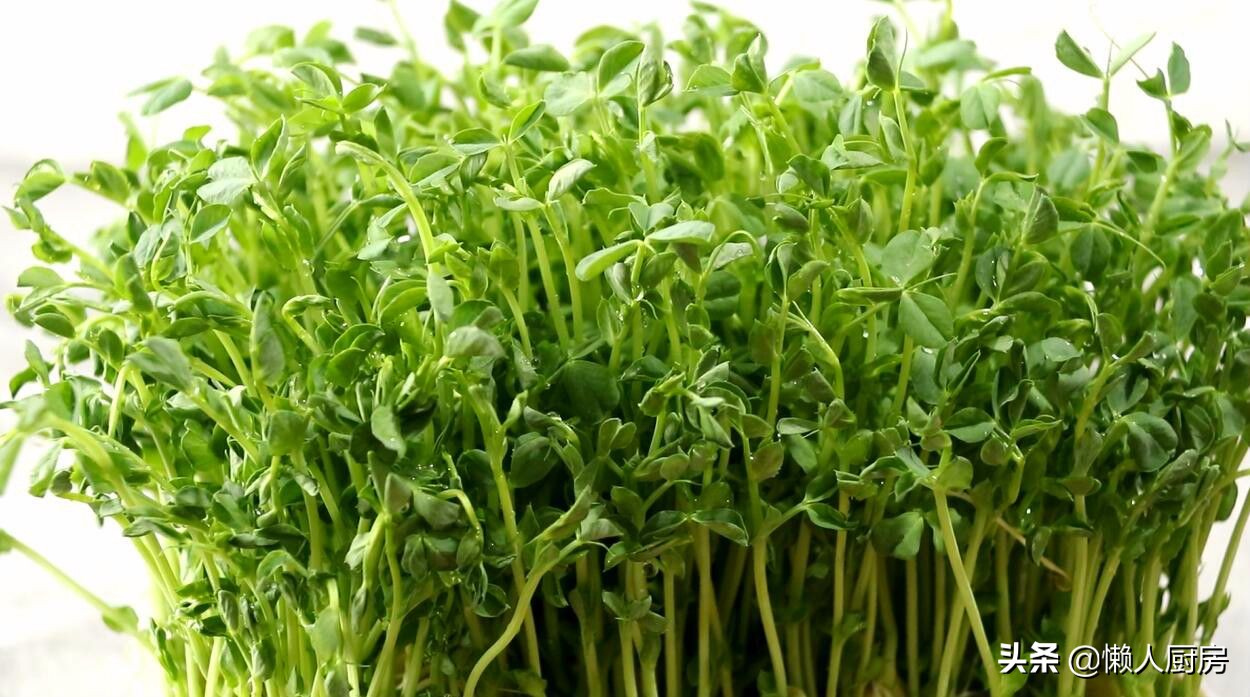 清炒豌豆苗最好吃的做法,豌豆苗做法简单又好吃