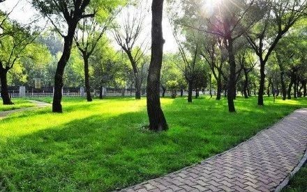 郑州中原区免费运动场地,郑州免费开放的体育场馆名单